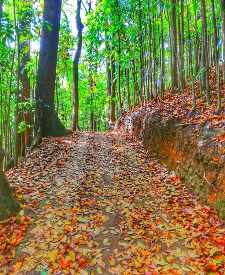 Boo Kirinda Holiday Resort バドゥッラ エクステリア 写真